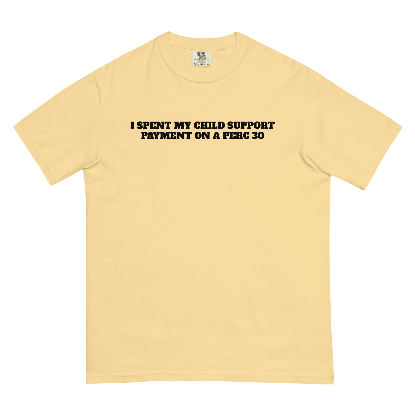 Child Support Perc 30 Premium Tee